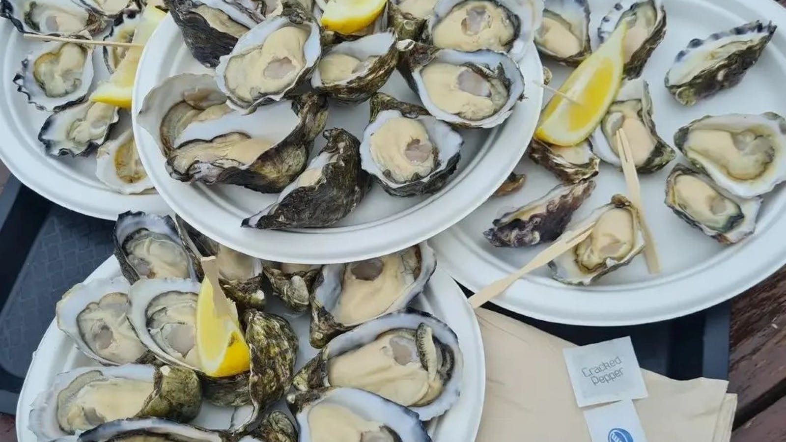 Pacific Oysters