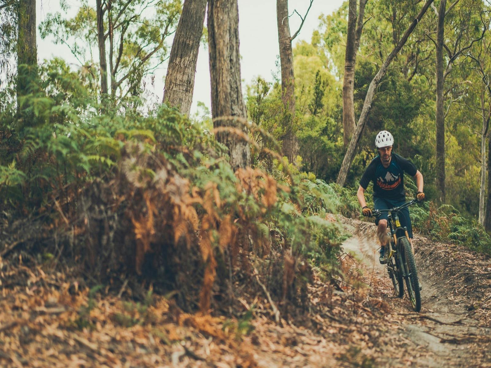 Camping in Penguin by the beach, Penguin MTB Park