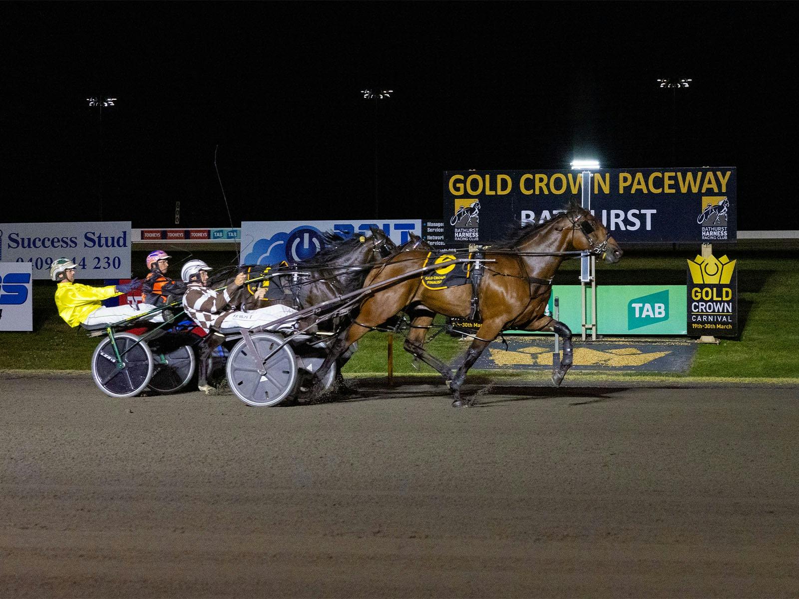 Evening harness racing