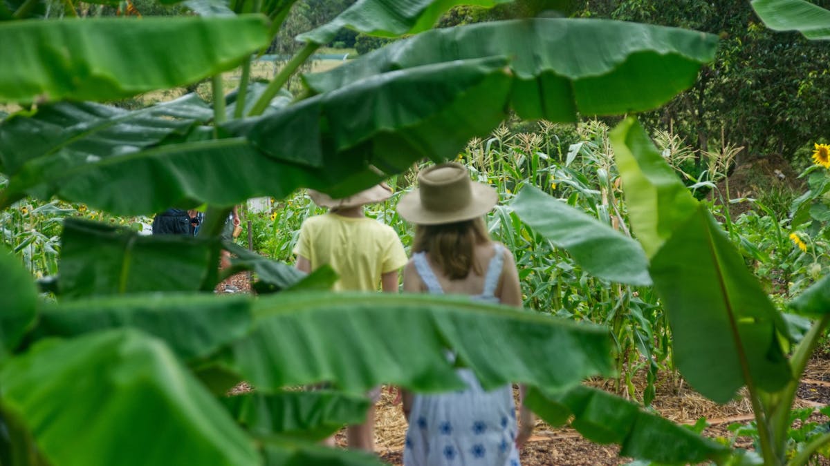 People on the Farm Walk