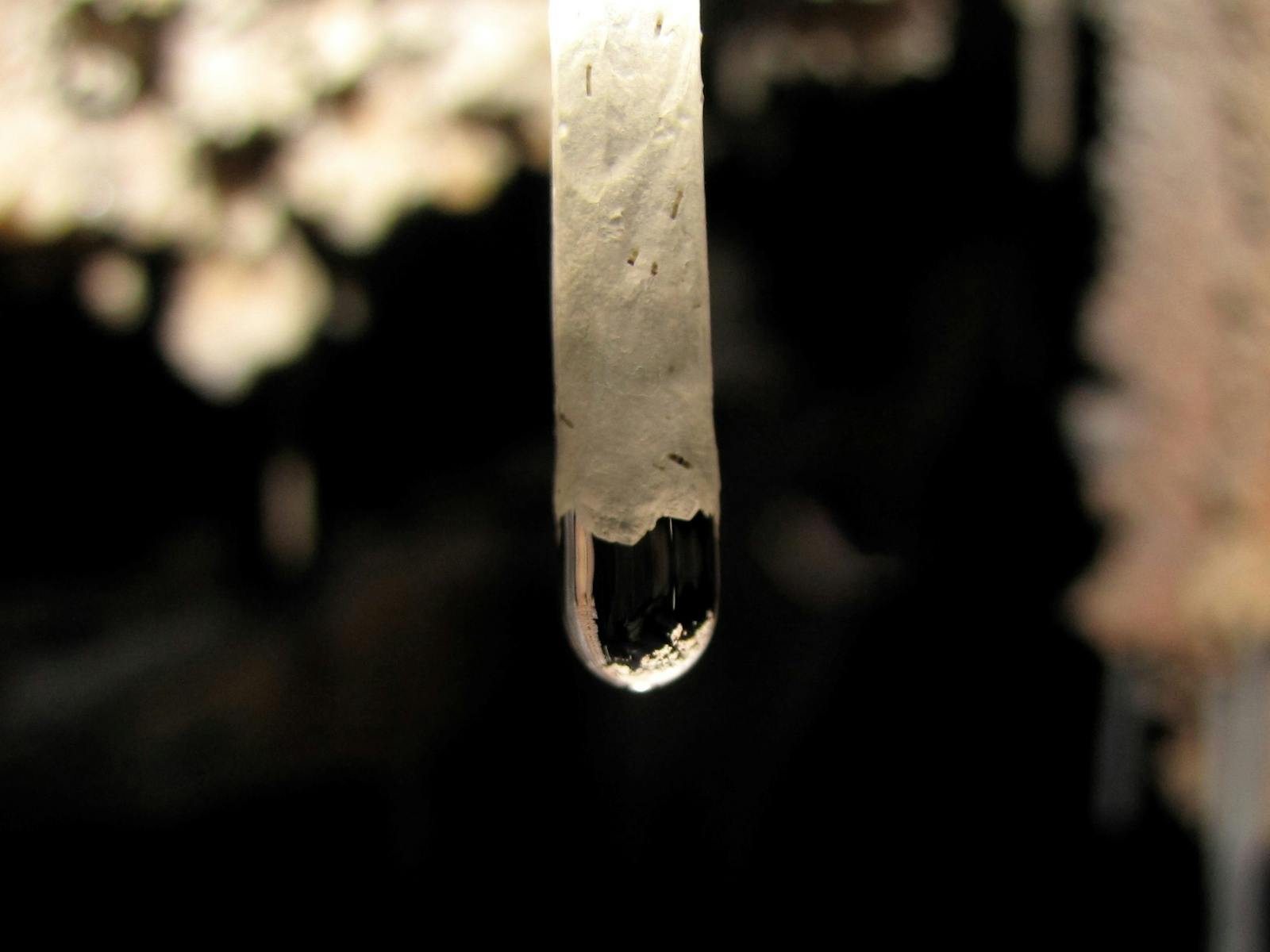 Up close image of a water droplet