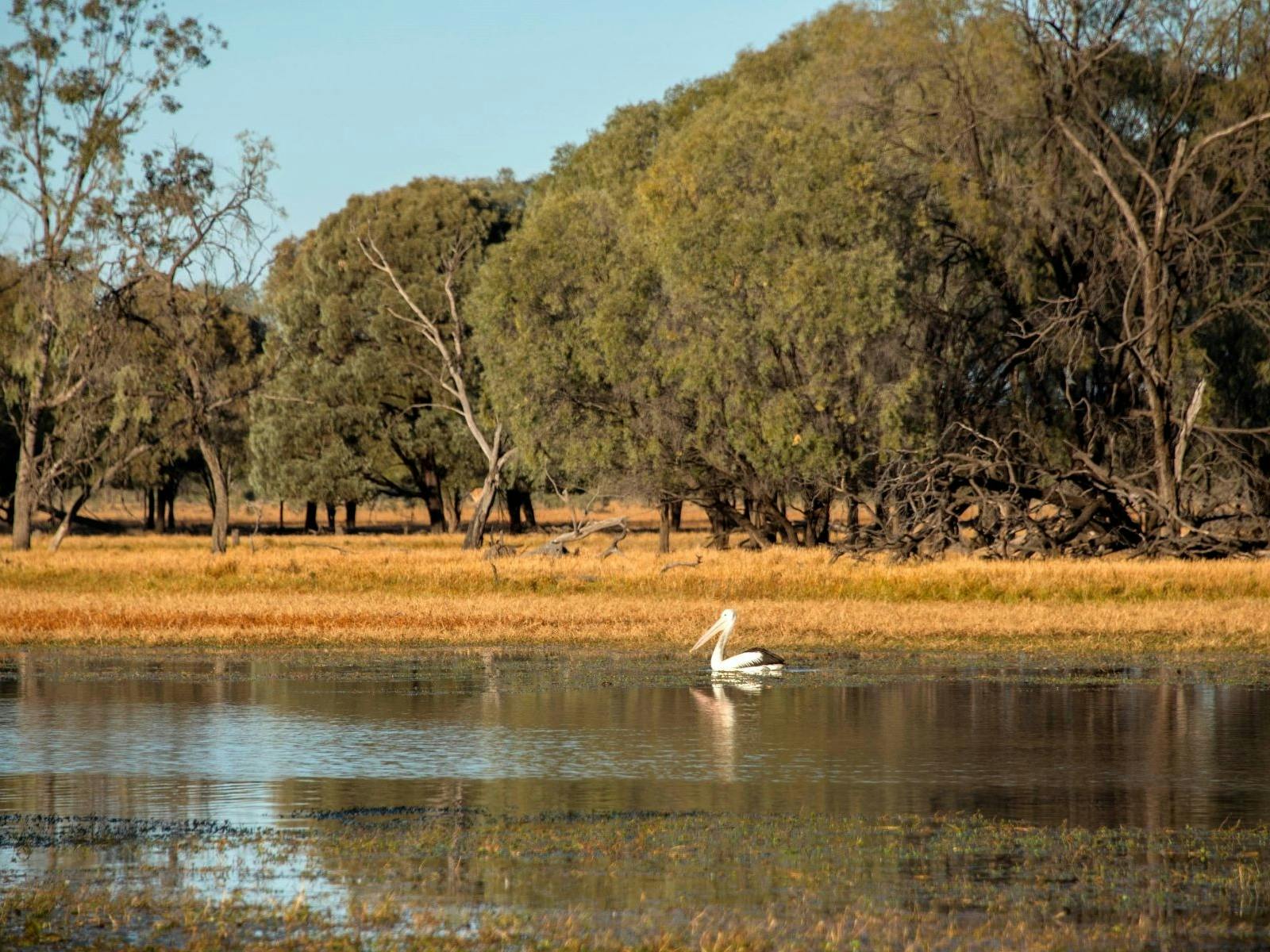 Glenmorgan Glenmorgan