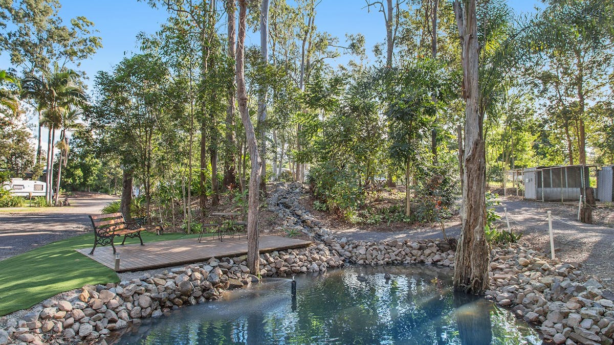 Landsborough Pines
