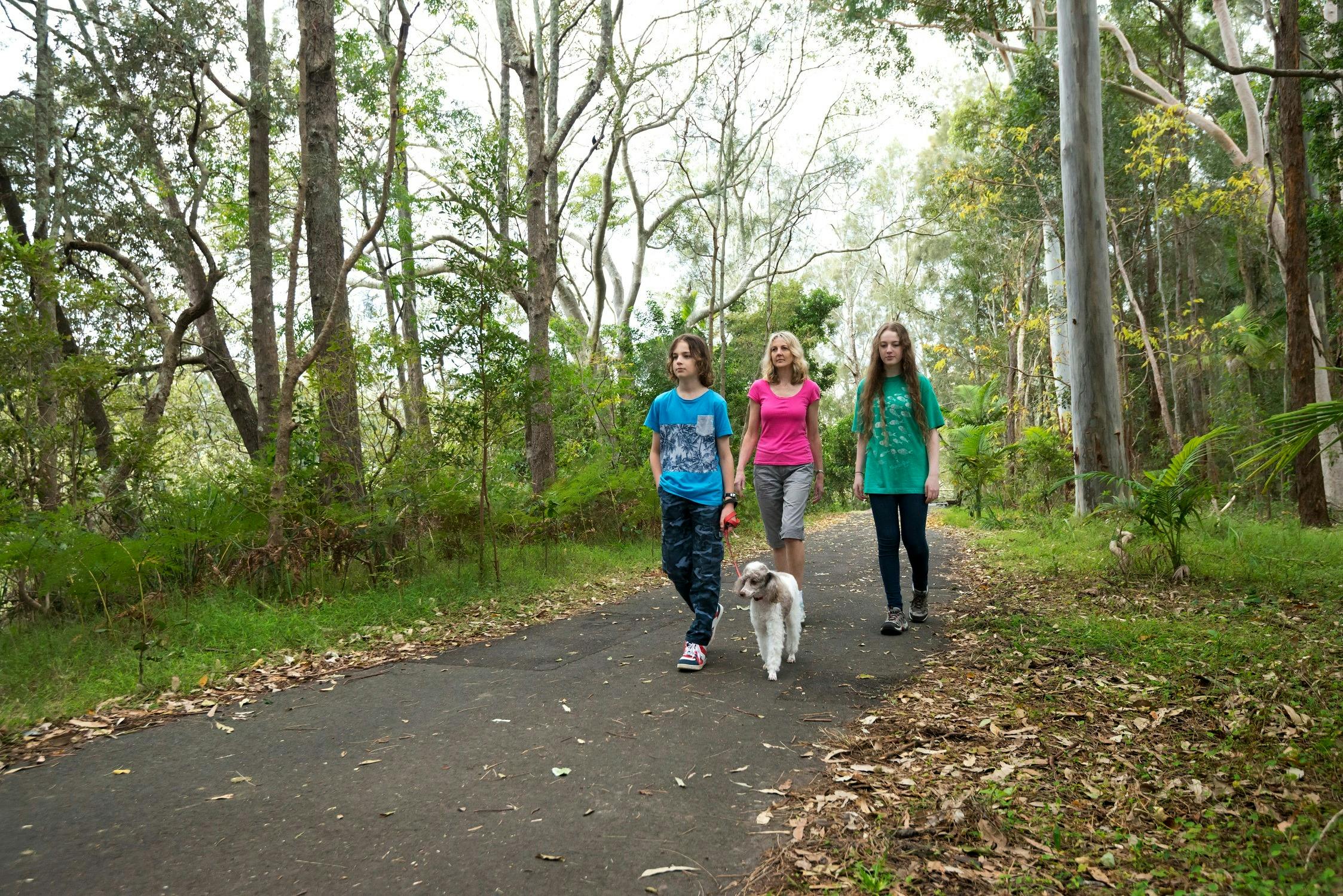 Coffs Creek Walk