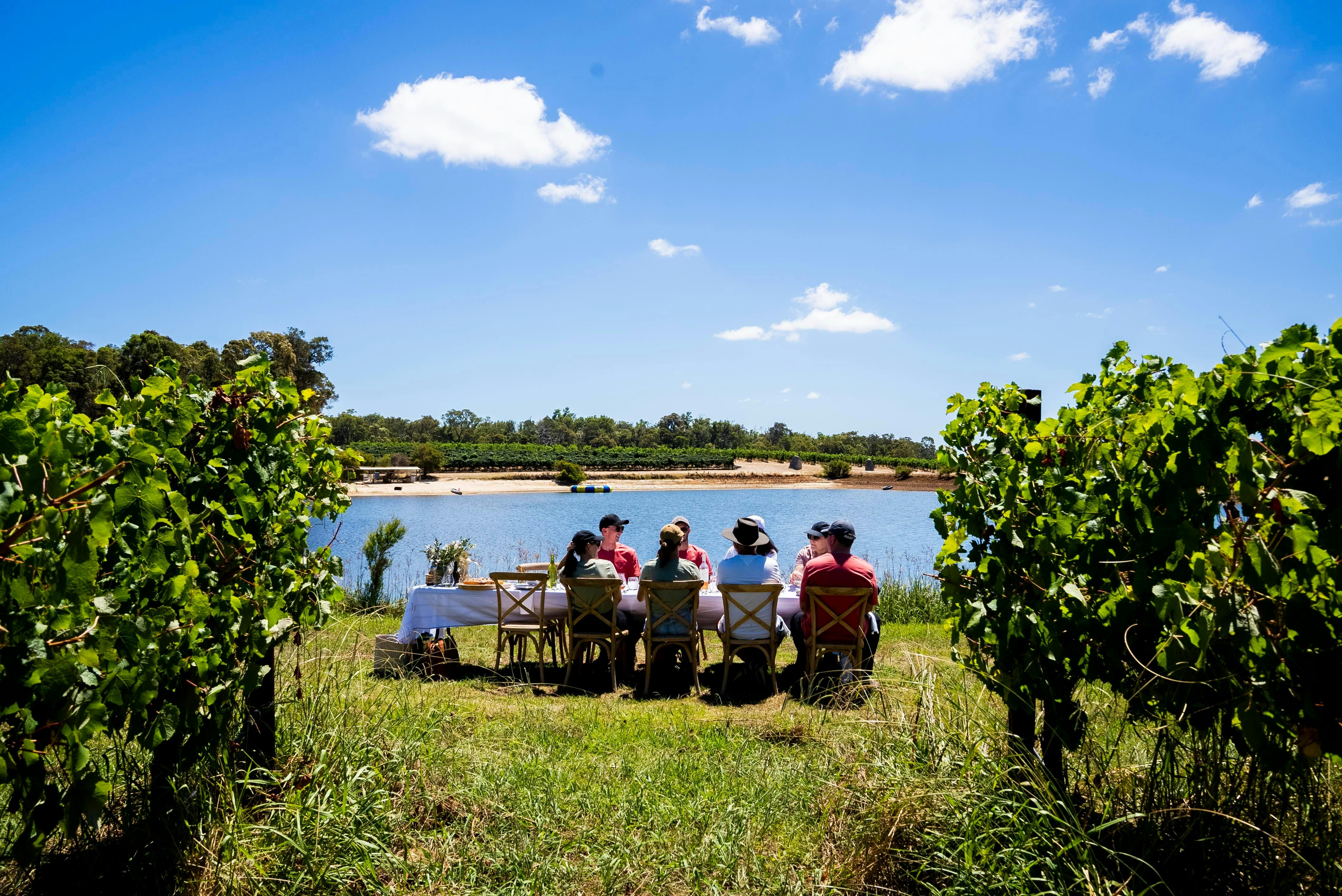 Earn Your Vino's vineyard picnic