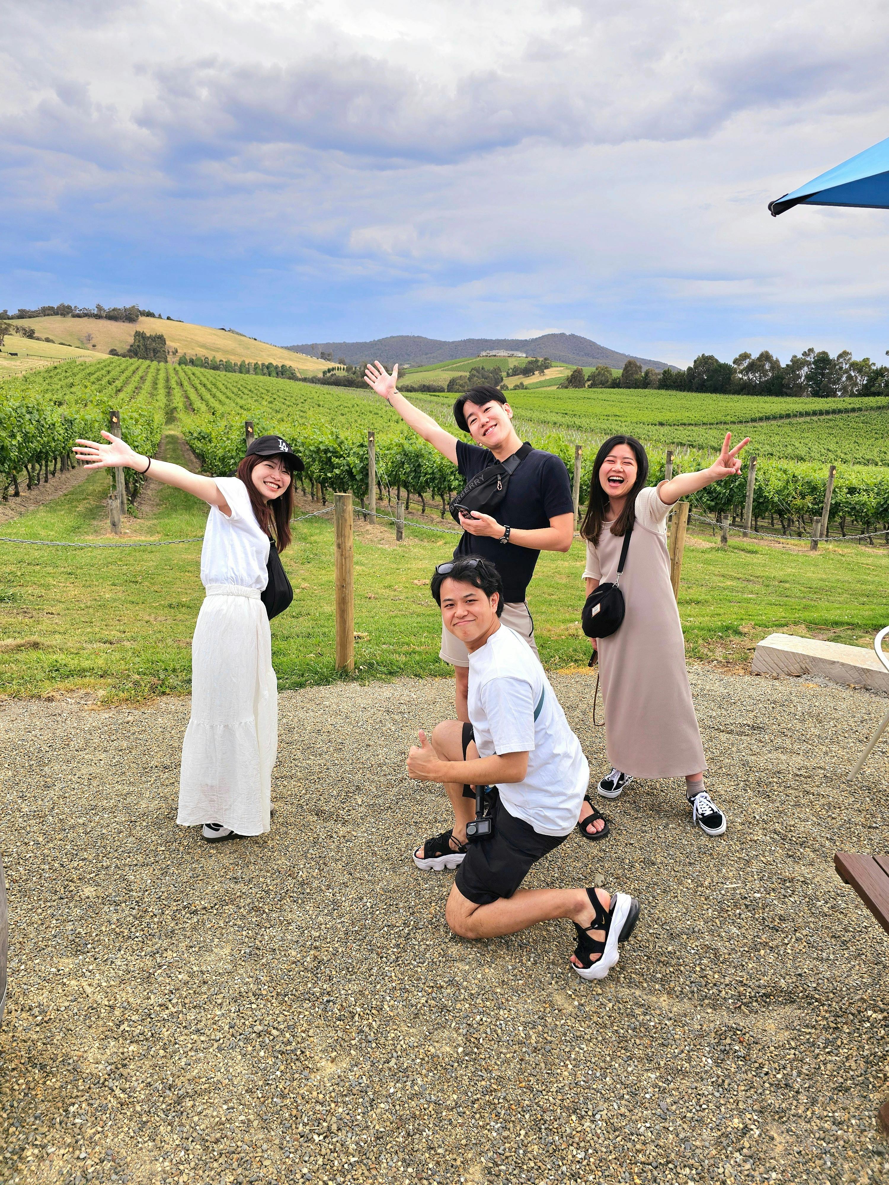 Guests Enjoying the view of the vines
