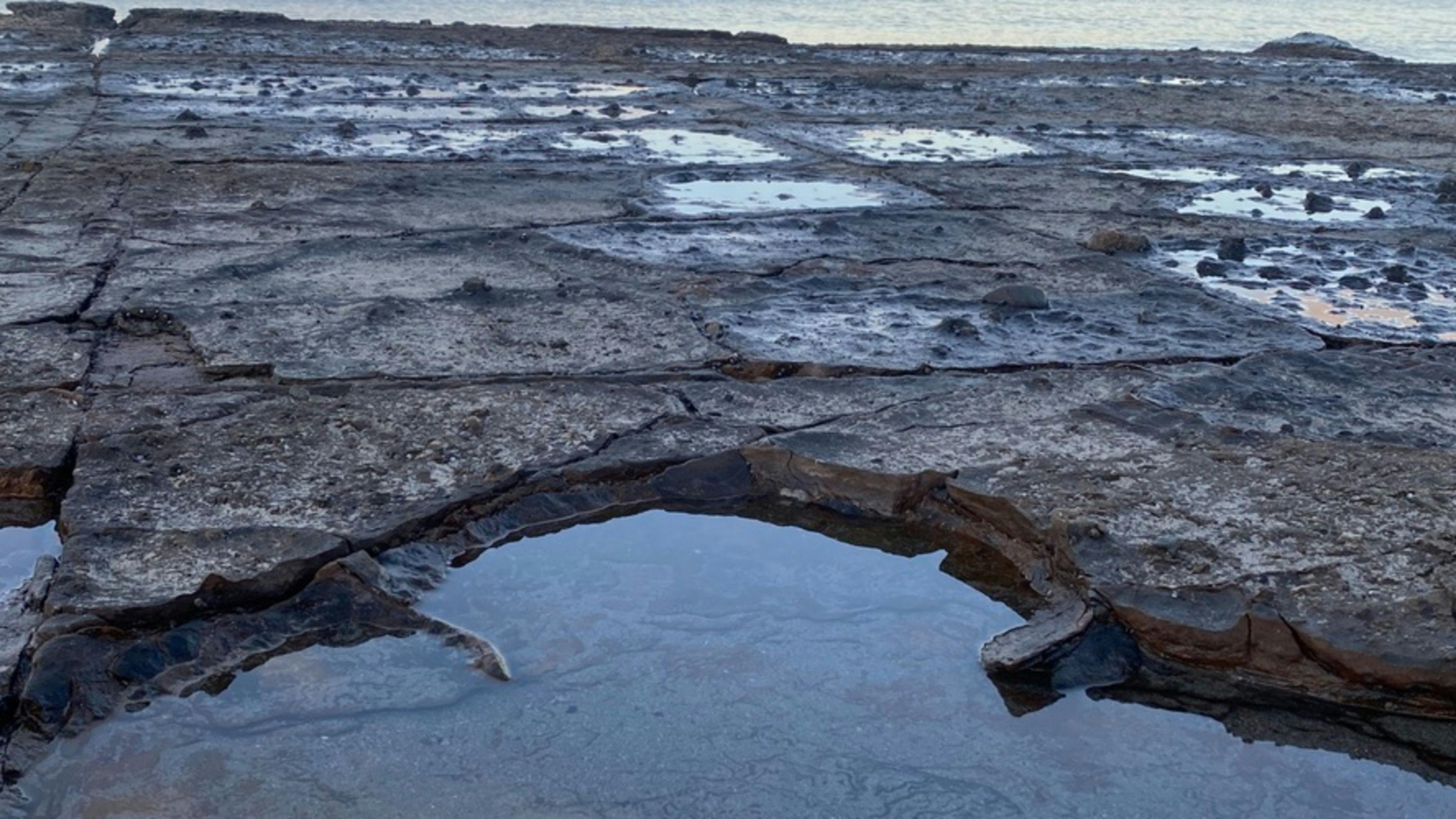 Deep Glen Coastal Campsite