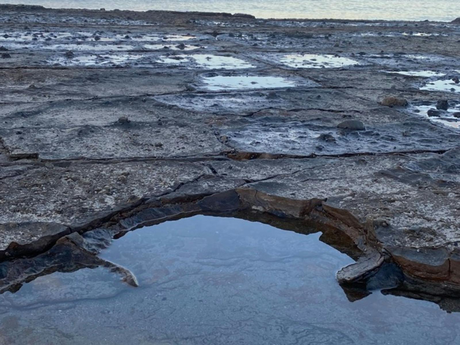 Deep Glen Coastal Campsite