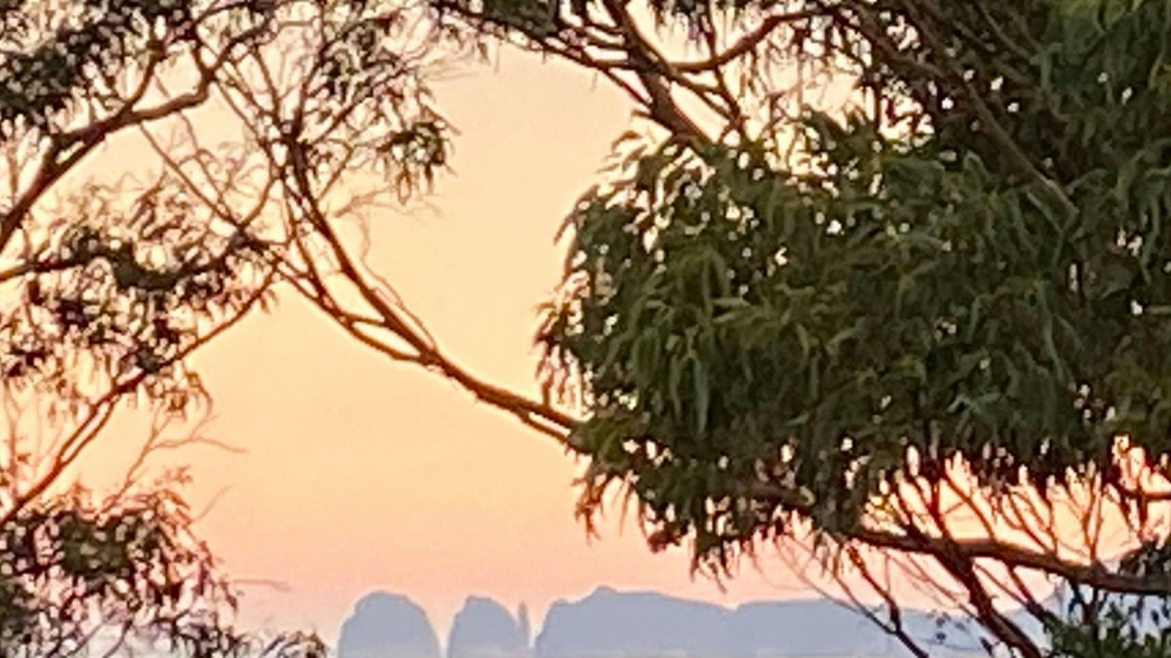 Deep Glen Coastal Campsite