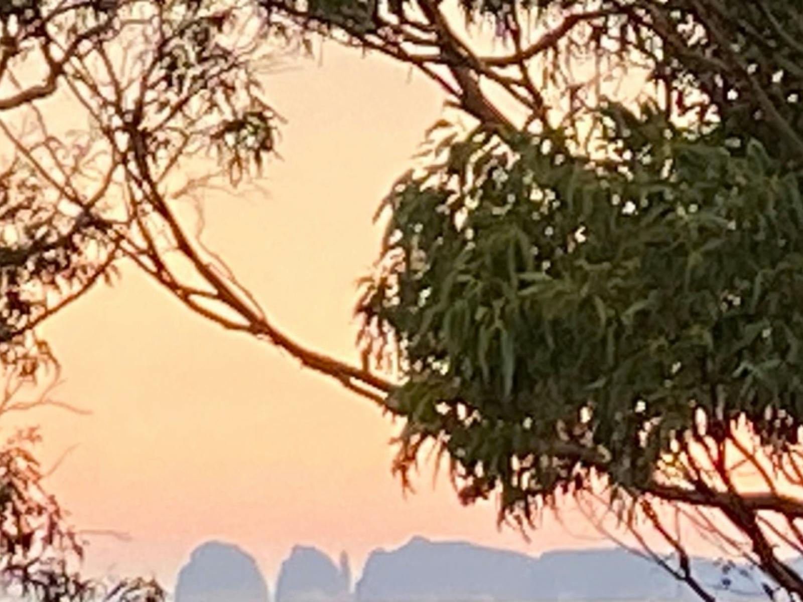 Deep Glen Coastal Campsite