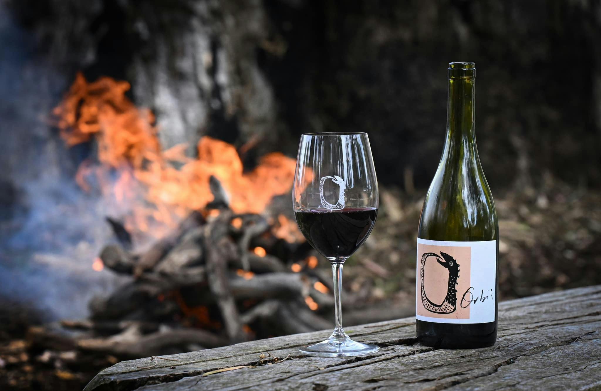 Grenache and Gourmet: Orbis Open Cellar