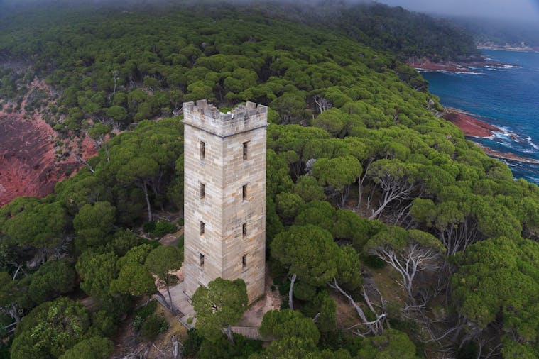 The Sapphire Coast Eight Day Tour