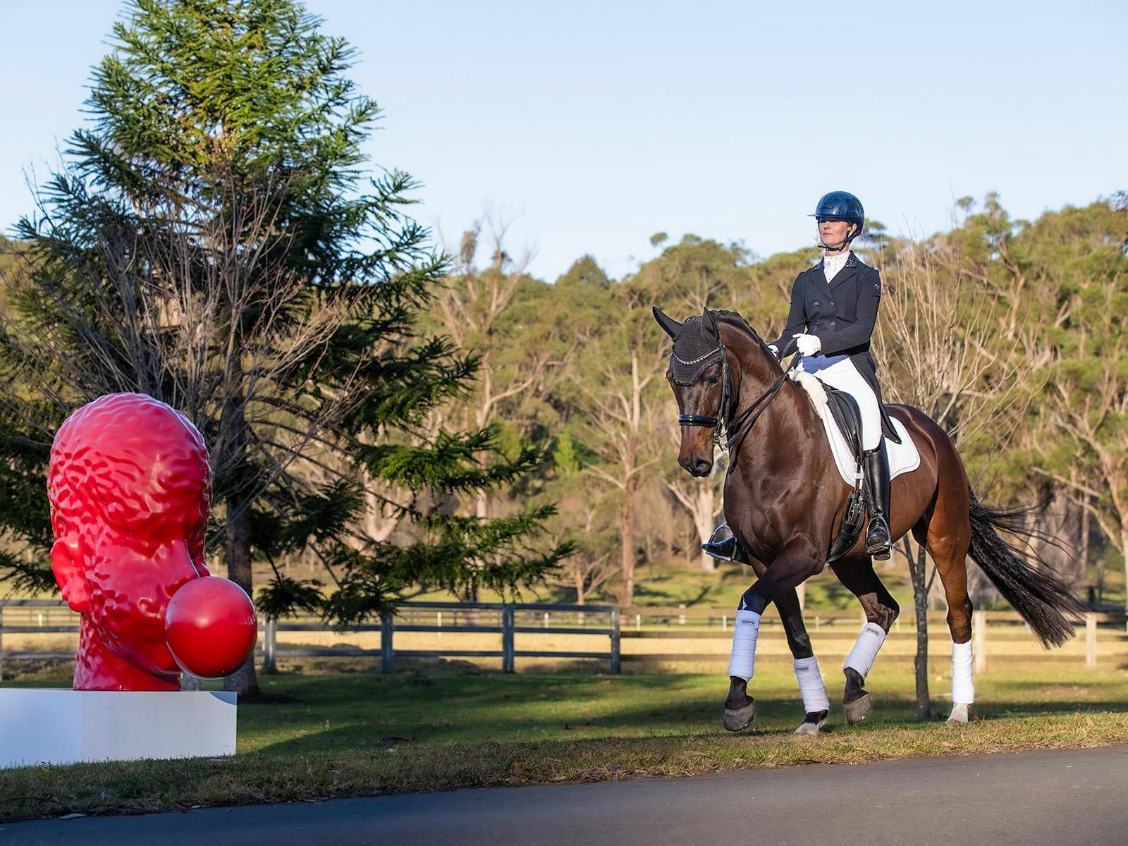 Willinga Park Dressage@Willinga