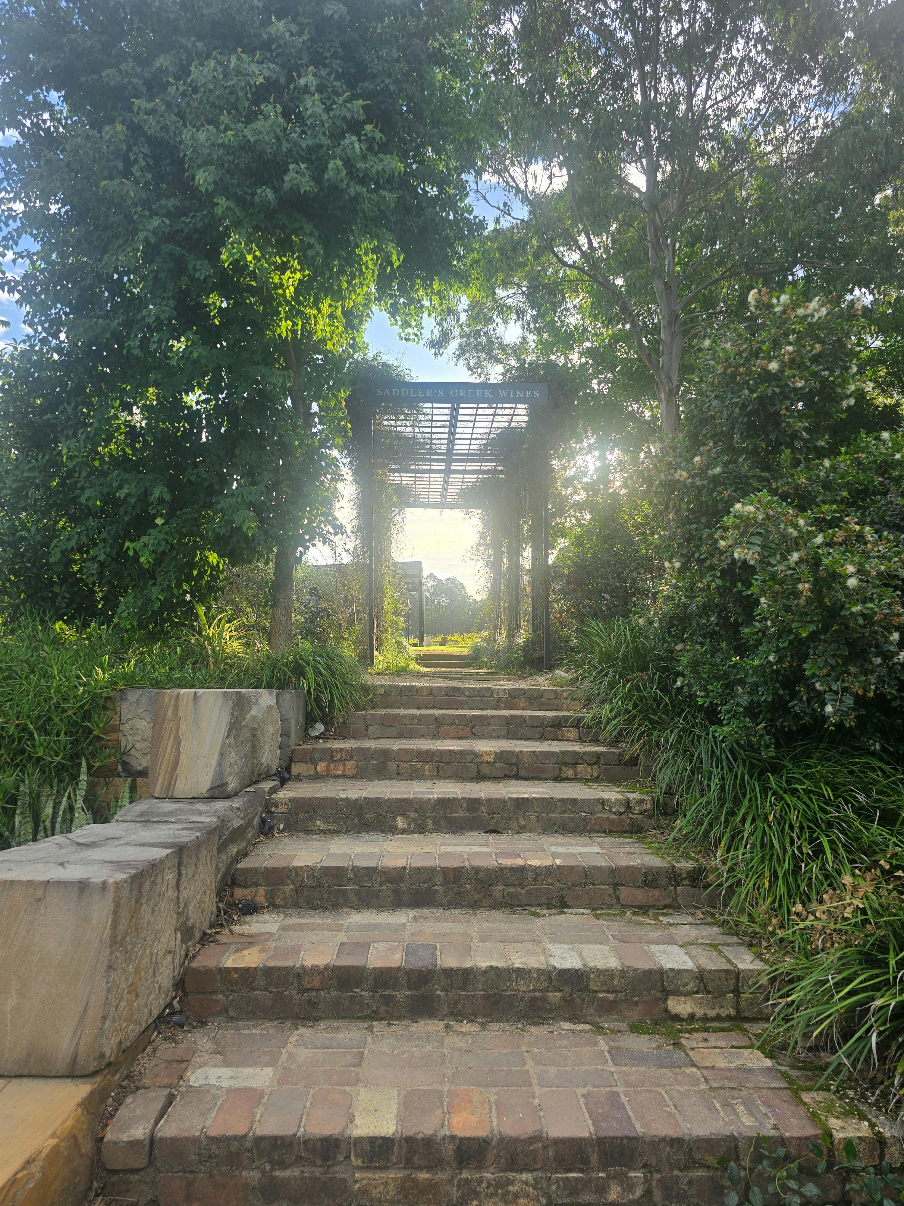 Hunter Valley Social Wine Experience