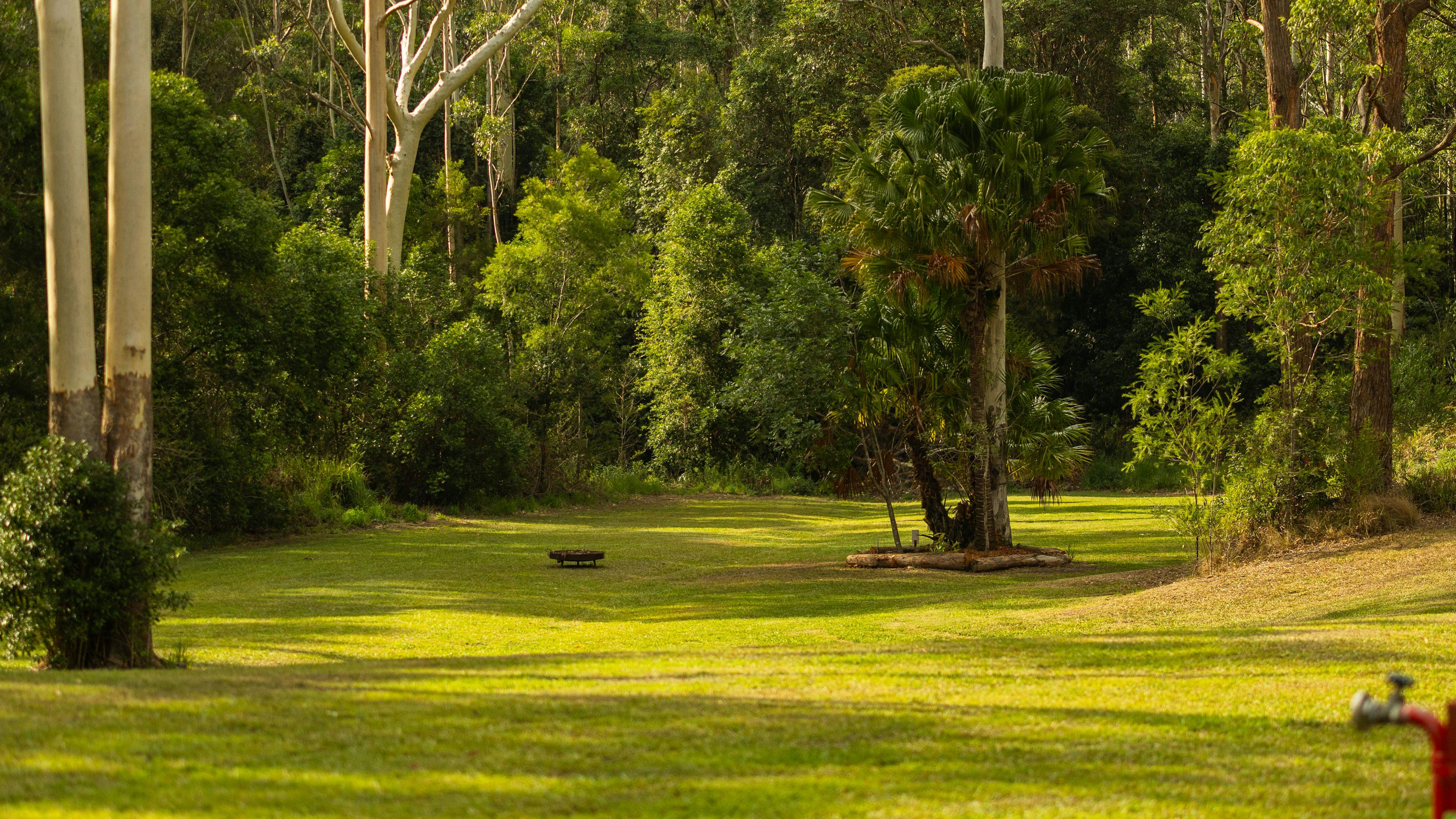Delhuntie Park -Edens Canopy-