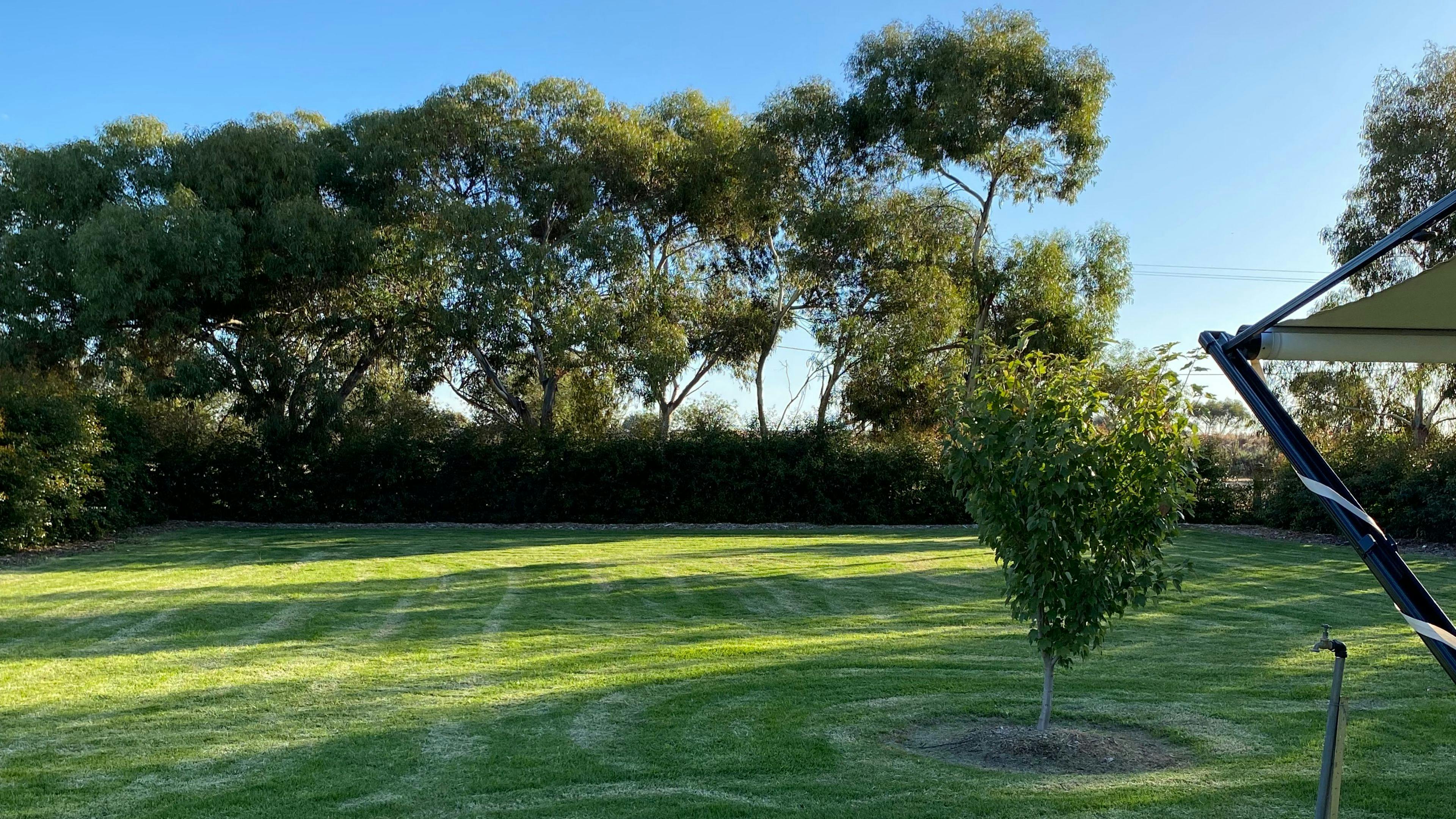 데니톰 에이커스