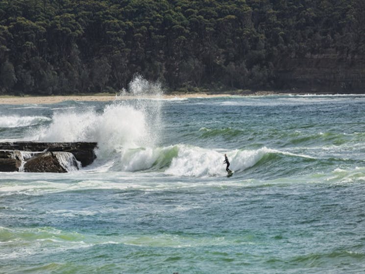 Man surfing at Depot Beach in Murramarang National Park. Photo: David Finnegan/DPIE