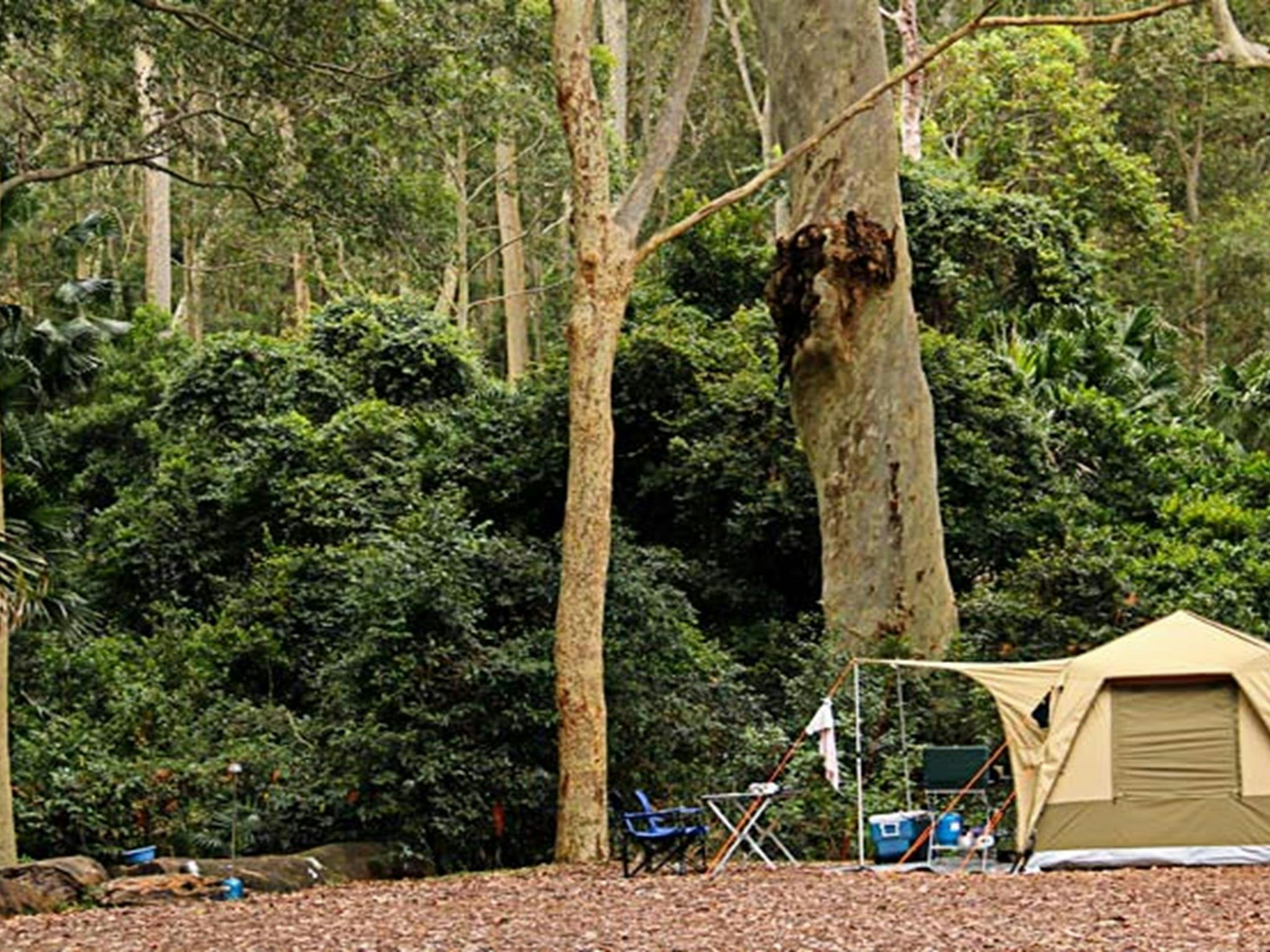 Campingplatz Depot Beach, Murramarang-Nationalpark. Foto: John Yurasek © DPIE
