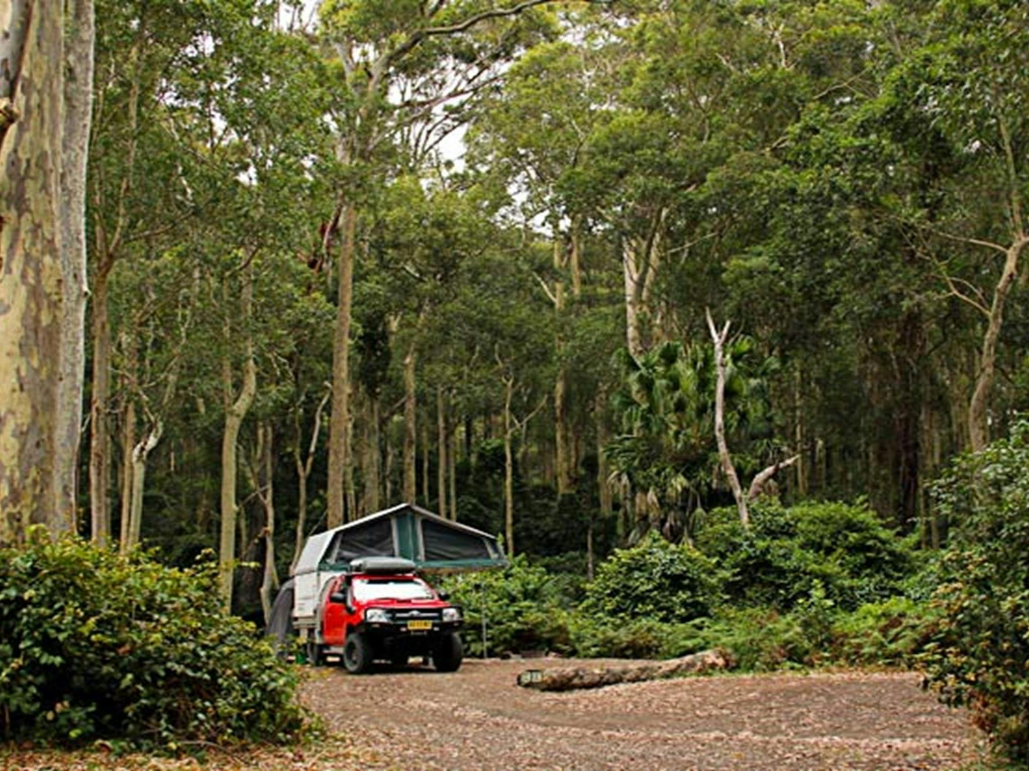 Campingplatz Depot Beach, Murramarang-Nationalpark. Foto: John Yurasek/Regierung von New South Wales