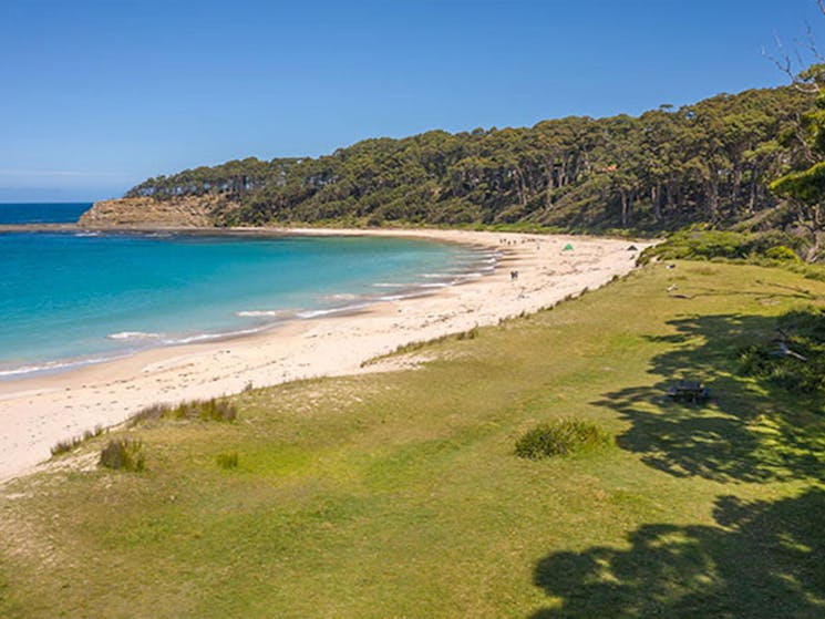 The lawn at Depot beach with the beach and bushland in the background in Murramarang National Park.