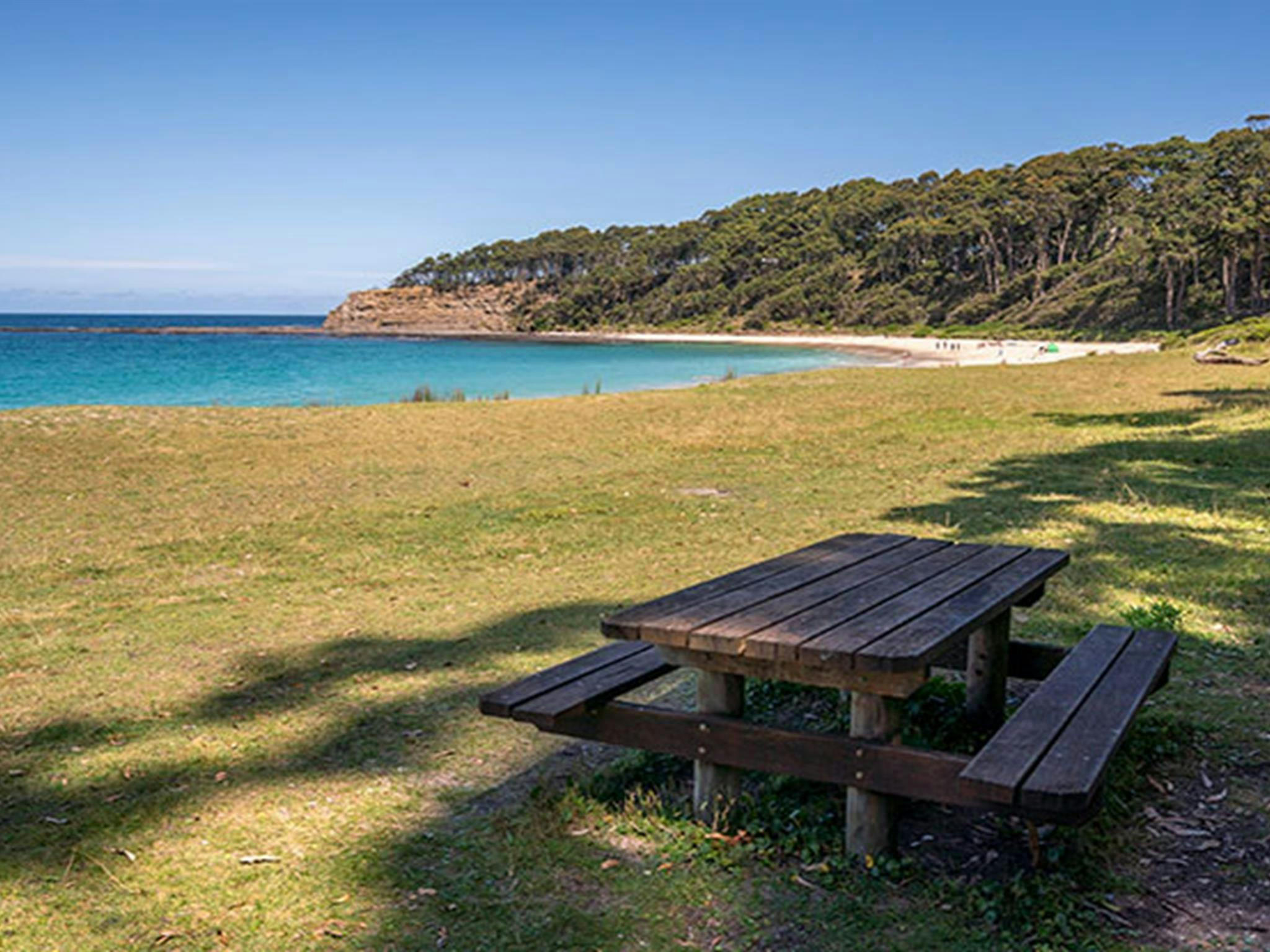 穆拉马朗国家公园德波特海滩草坪上的野餐桌。照片：约翰·斯宾塞 © DPIE