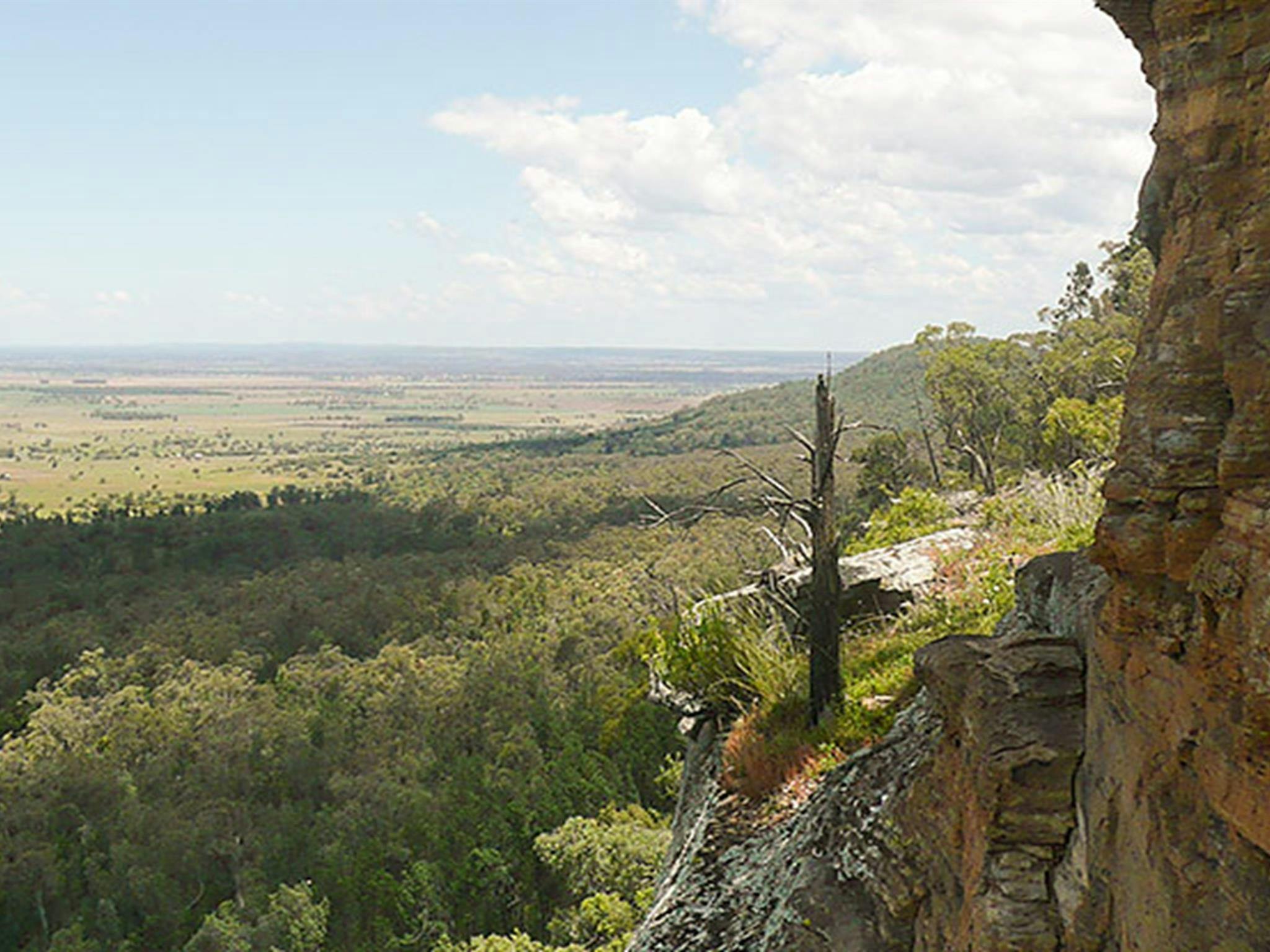 德里亞原住民地區。照片：Dirk Richards/新南威爾斯州政府