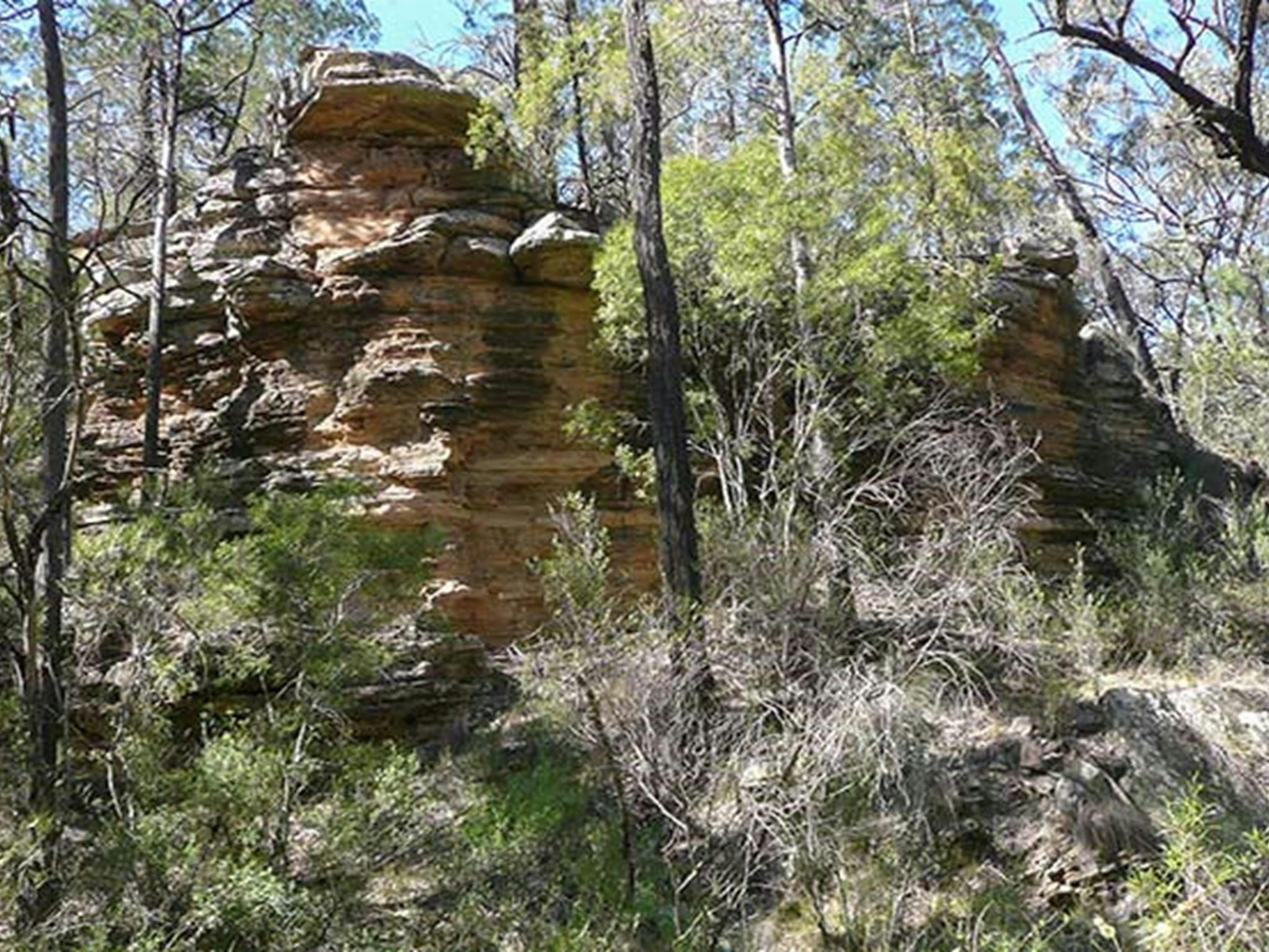 德里亞原住民地區。照片：Dirk Richards/新南威爾斯州政府