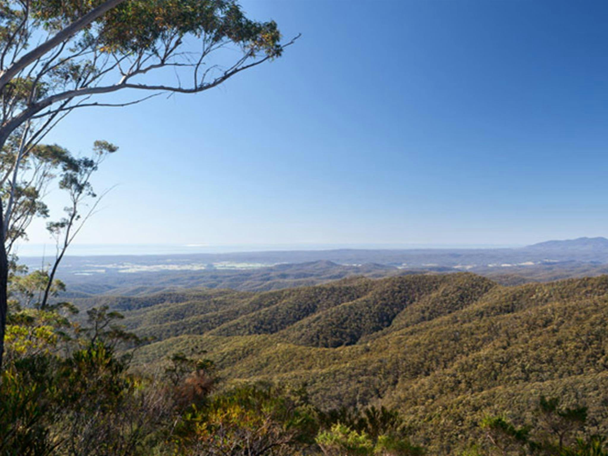 Hanging Mountain lookout, Deua National Park. Photo: Lucas Boyd &copy; DPIE