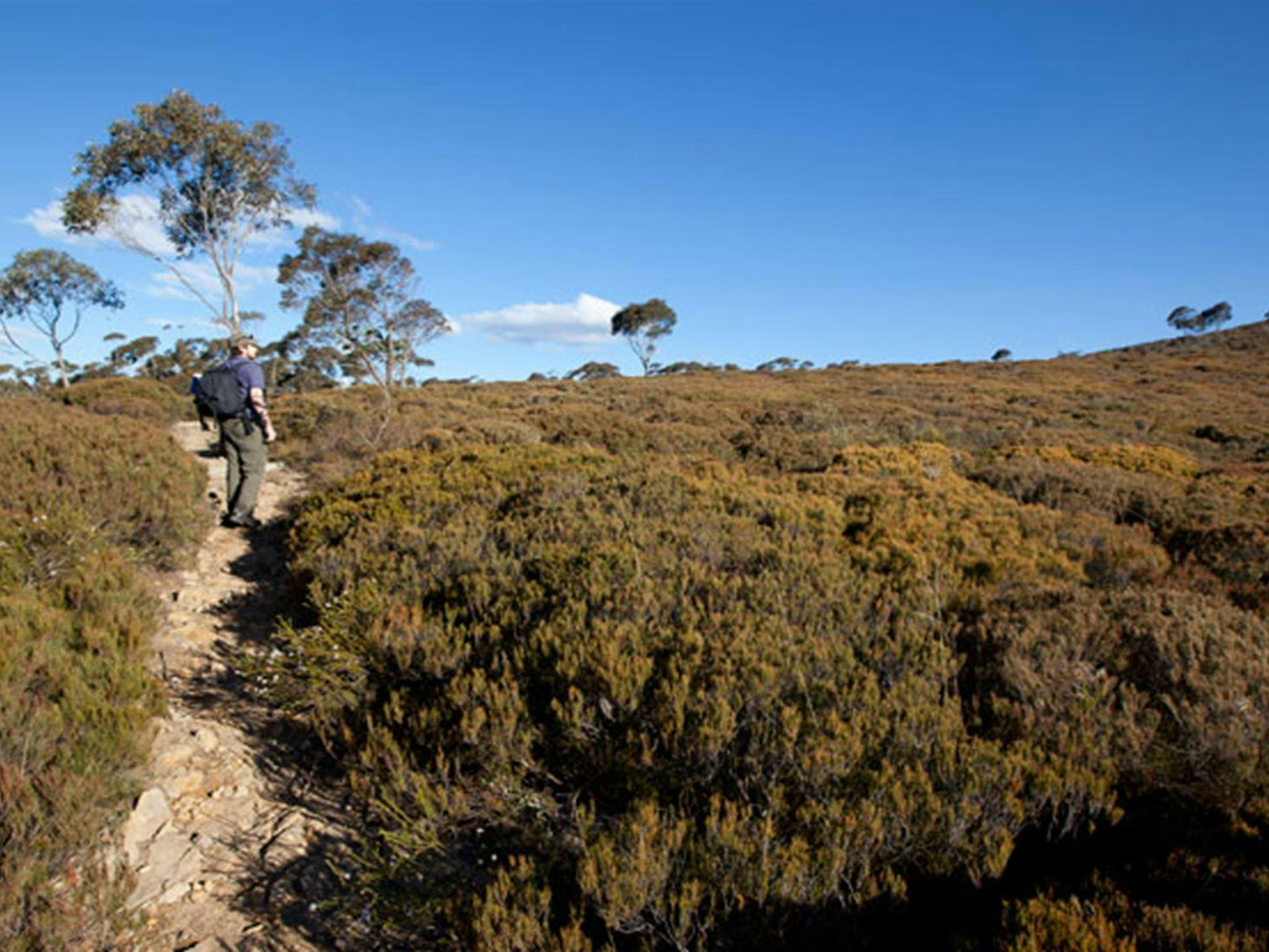 The Big Hole walking track path, Deua National Park. Photo: Lucas Boyd &copy; DPIE