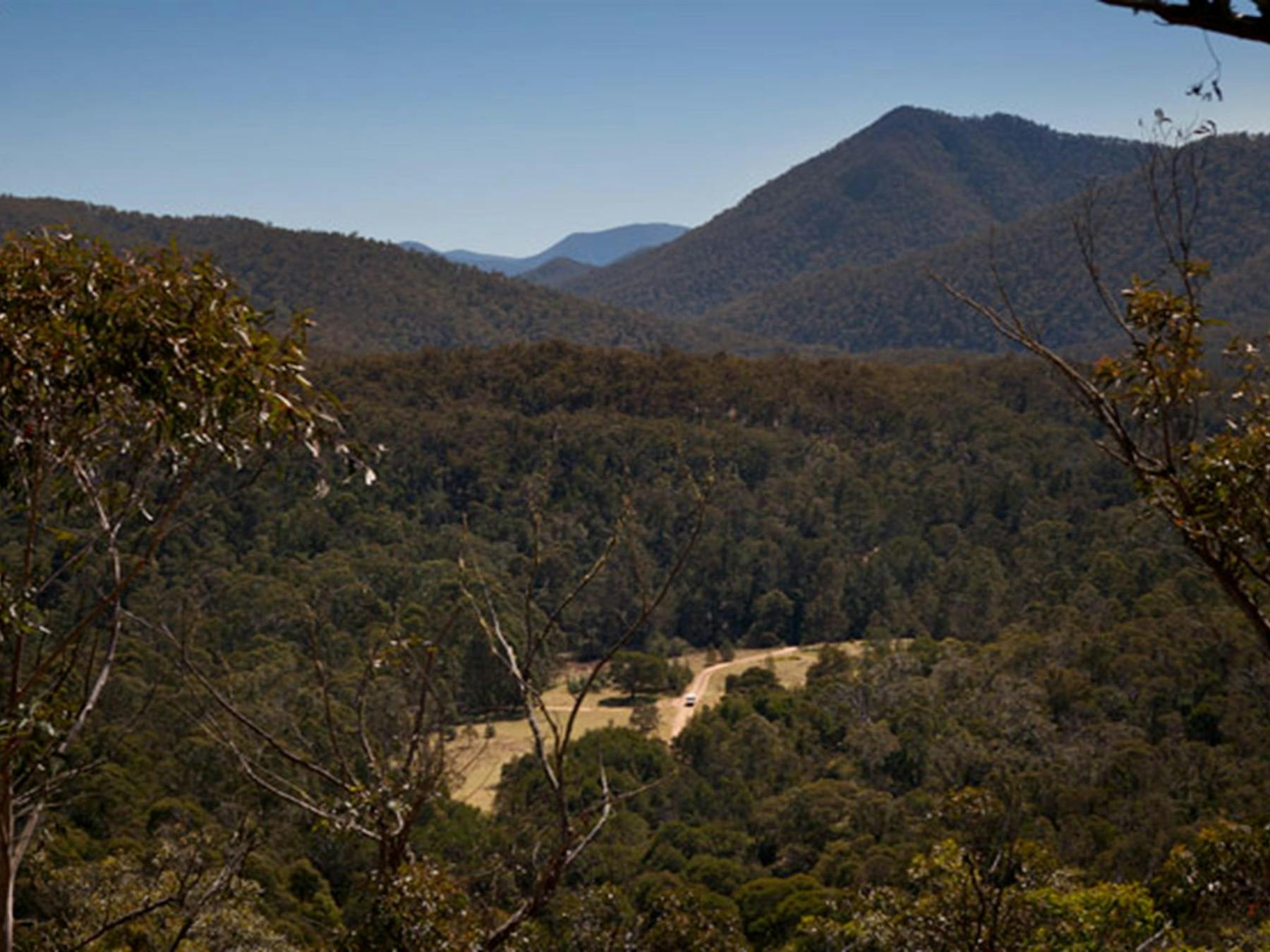 Valley, Deua National Park. Photo: Lucas Boyd © DPIE