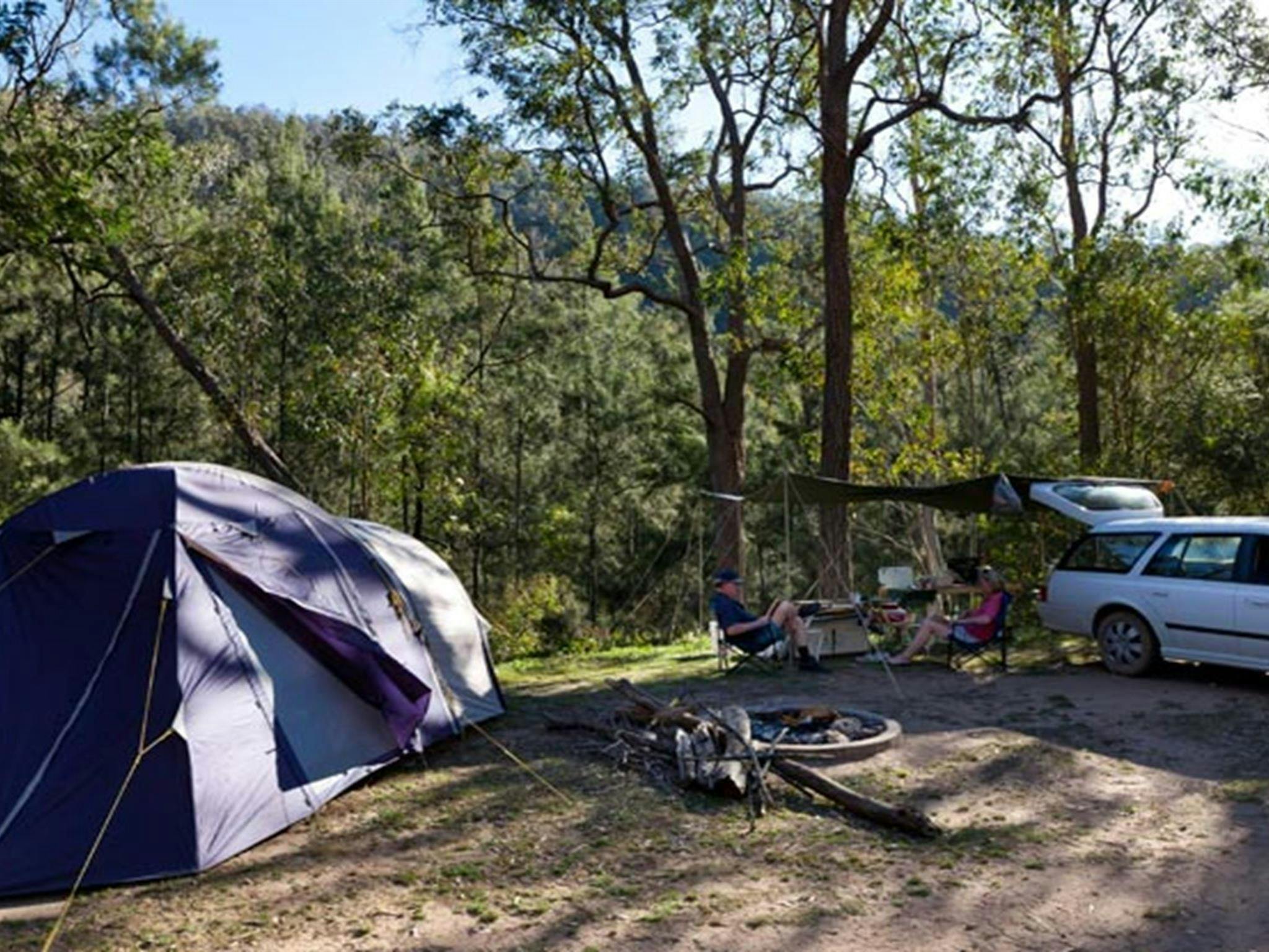 A tent and car at Deua River campgrounds, Deua National Park. Photo: Lucas Boyd/DPIE