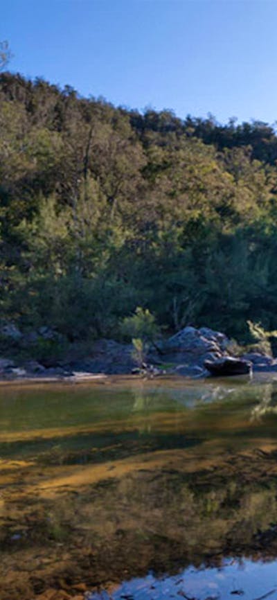 Deua River campgrounds waterside, Deua National Park. Photo: Lucas Boyd/DPIE
