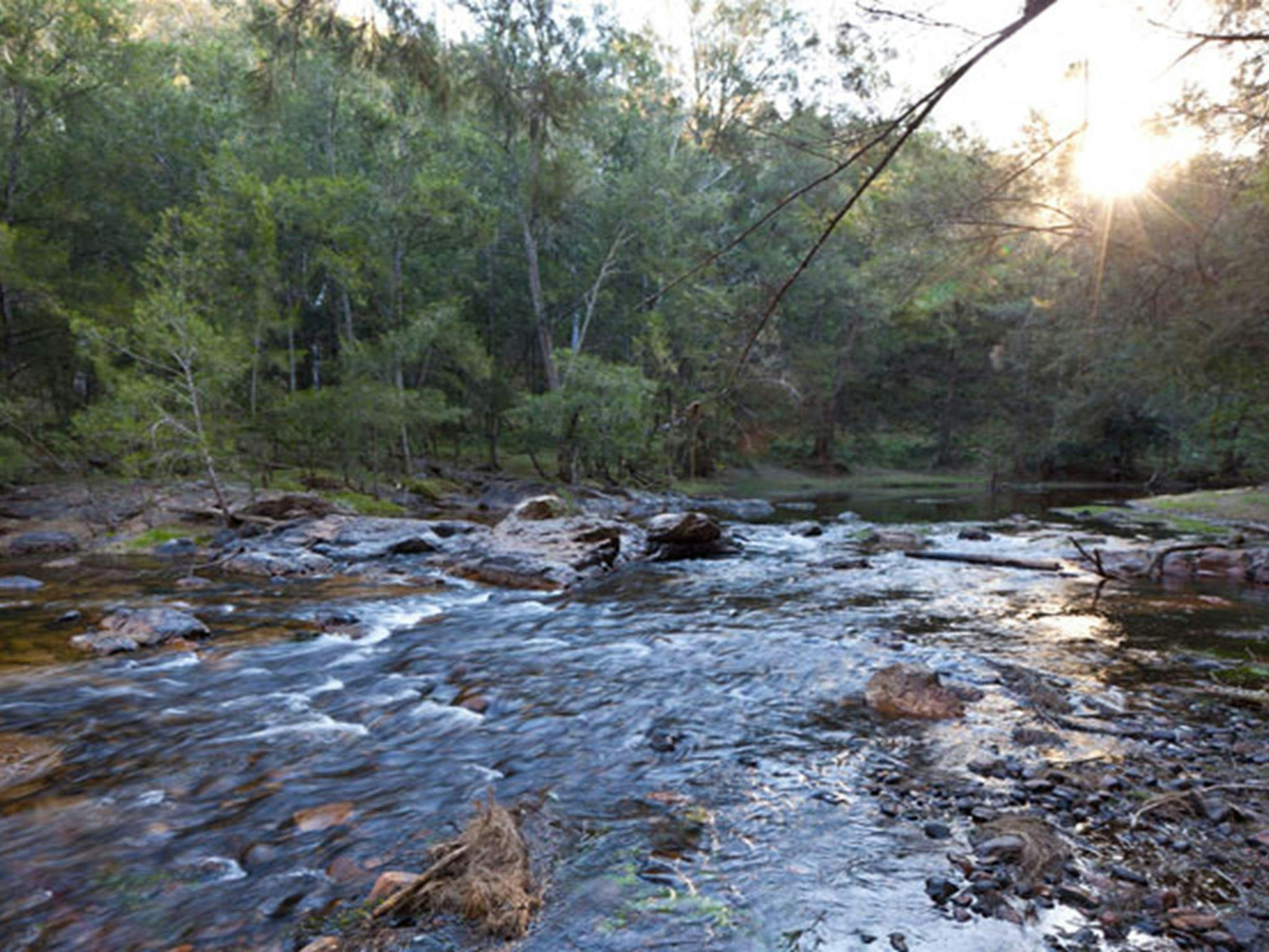 Deua River campgrounds current, Deua National Park. Photo: Lucas Boyd/DPIE
