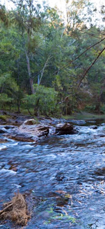 Deua River campgrounds current, Deua National Park. Photo: Lucas Boyd/DPIE