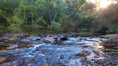 Deua River campgrounds current, Deua National Park. Photo: Lucas Boyd/DPIE