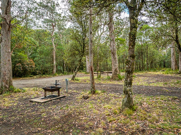 A fire pit at Devils Hole campground in Barrington Tops State Conservation Area. Photo: John