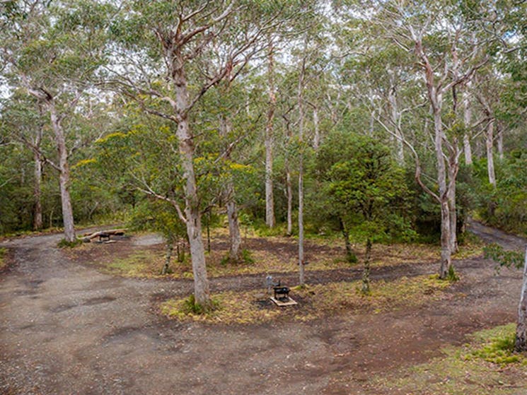 Low aerial view of Devils Hole campground in Barrington Tops State Conservation Area. Photo: John