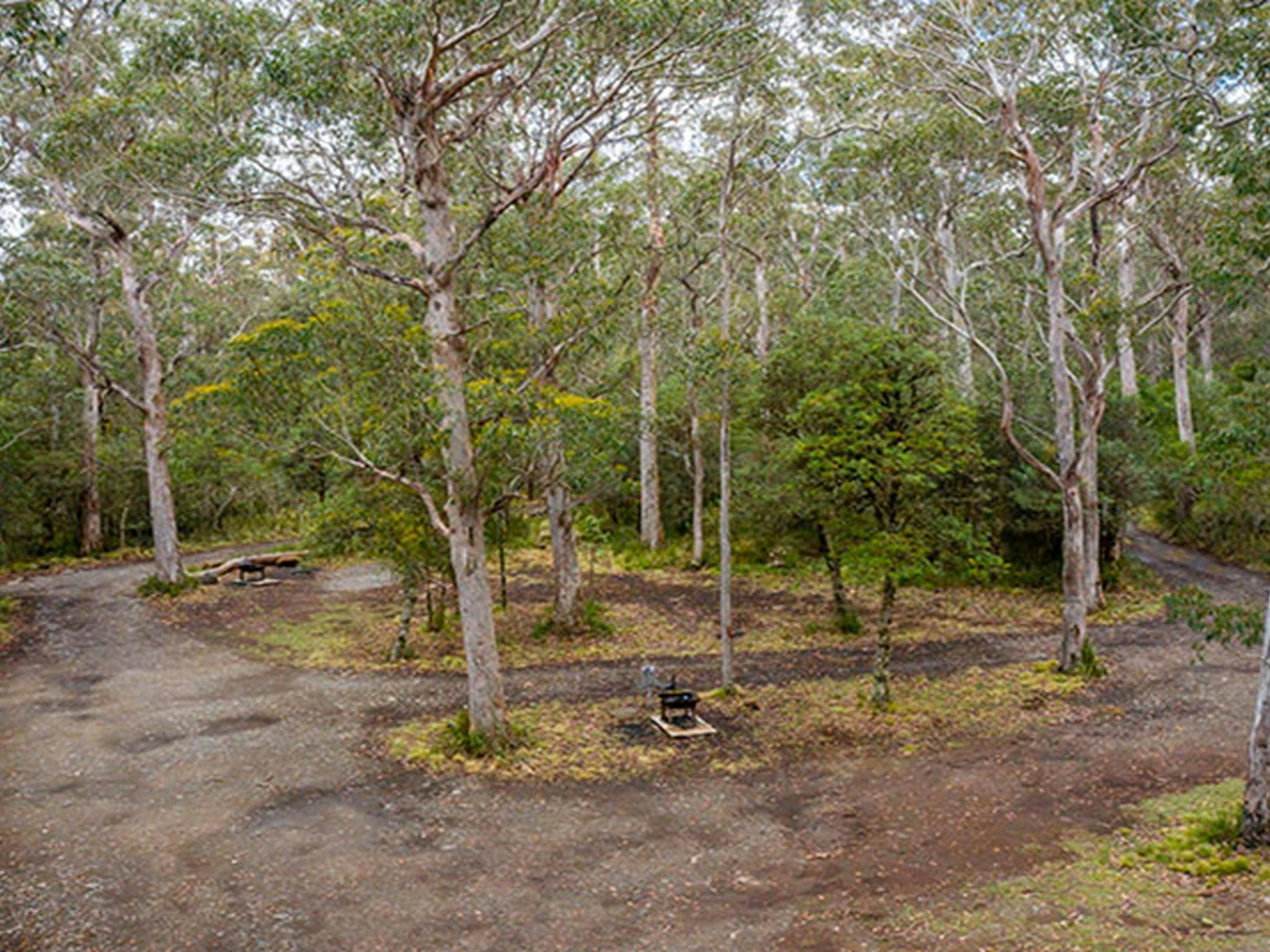 Niedrige Luftaufnahme des Campingplatzes Devils Hole im Naturschutzgebiet Barrington Tops. Foto: John