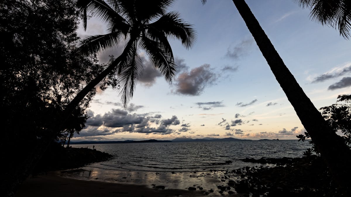 The sunset framed by two palm trees