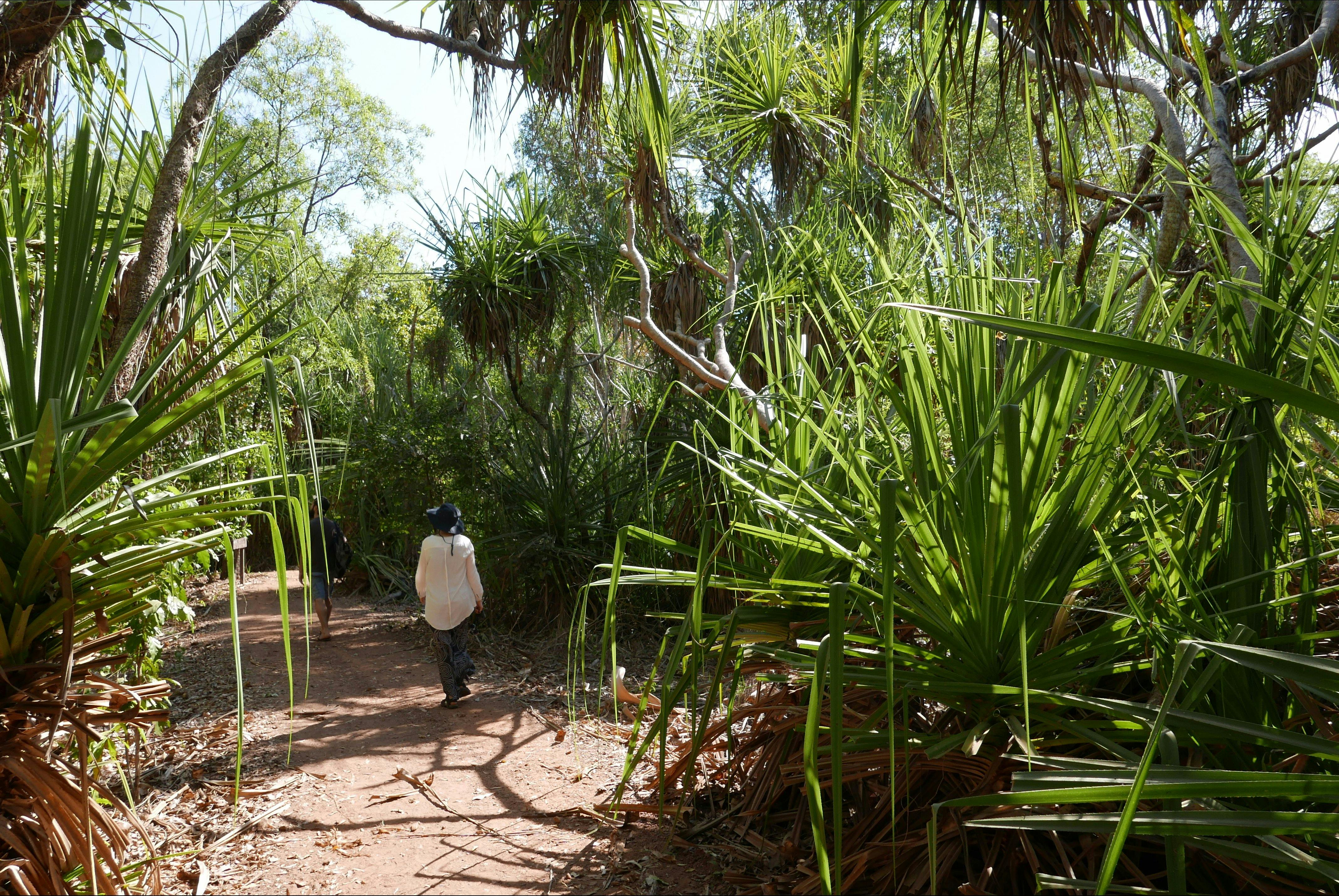 Holmes Jungle Nature Park