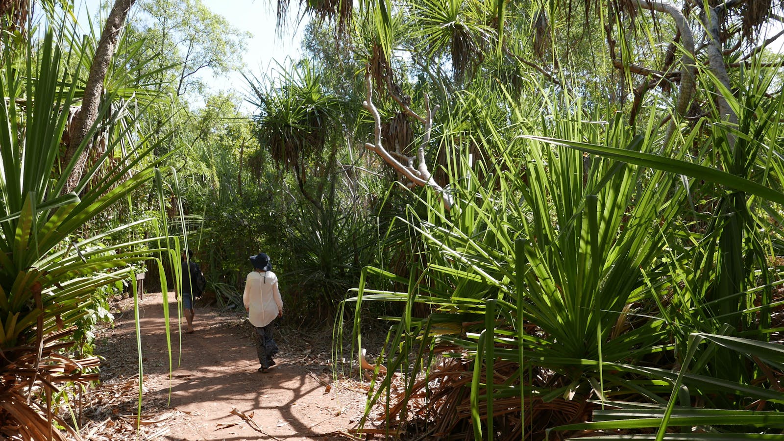Holmes Jungle Nature Park