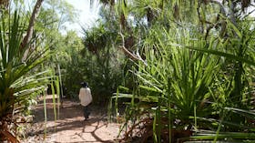 Holmes Jungle Nature Park