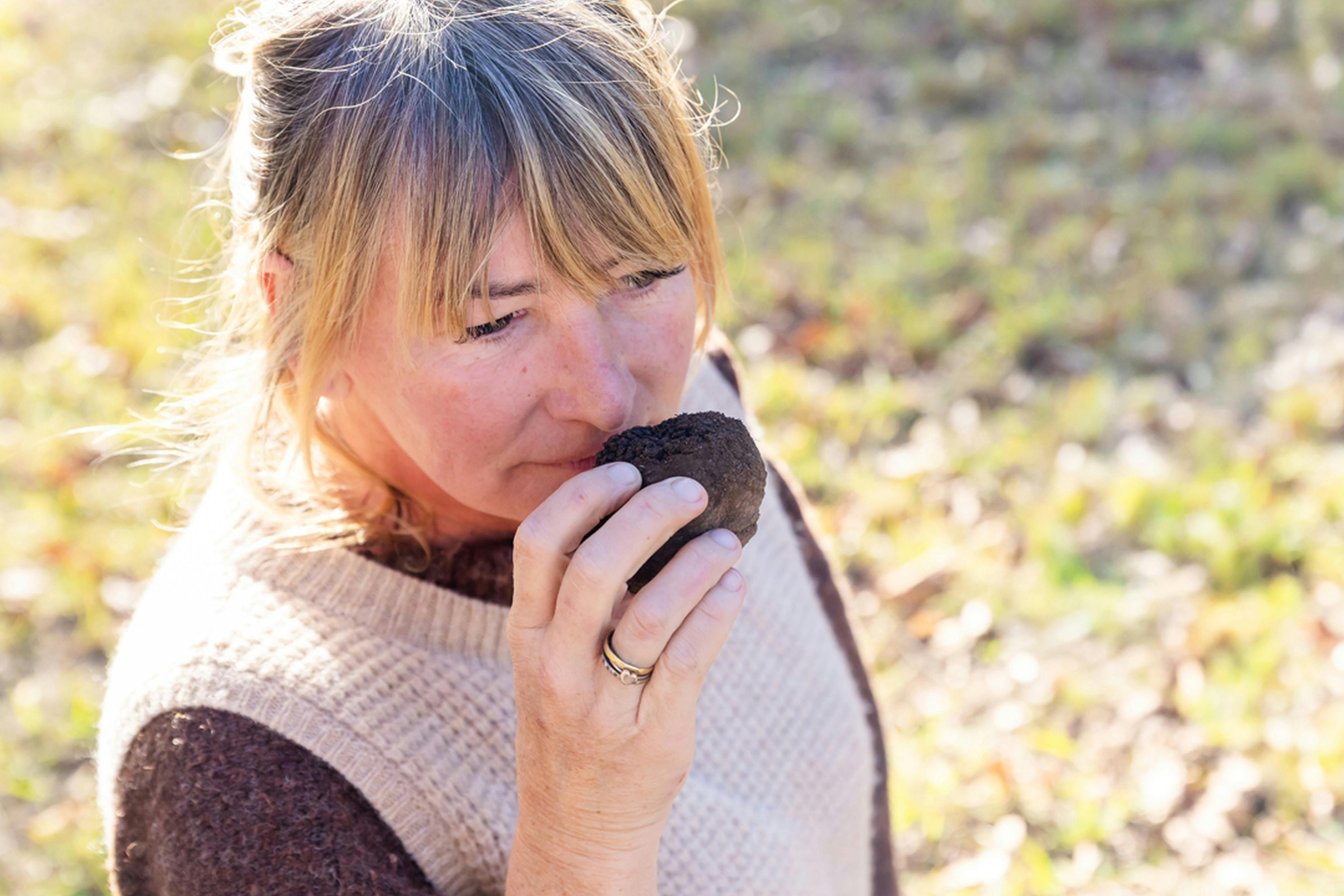 Smelling a truffle that has just been dug