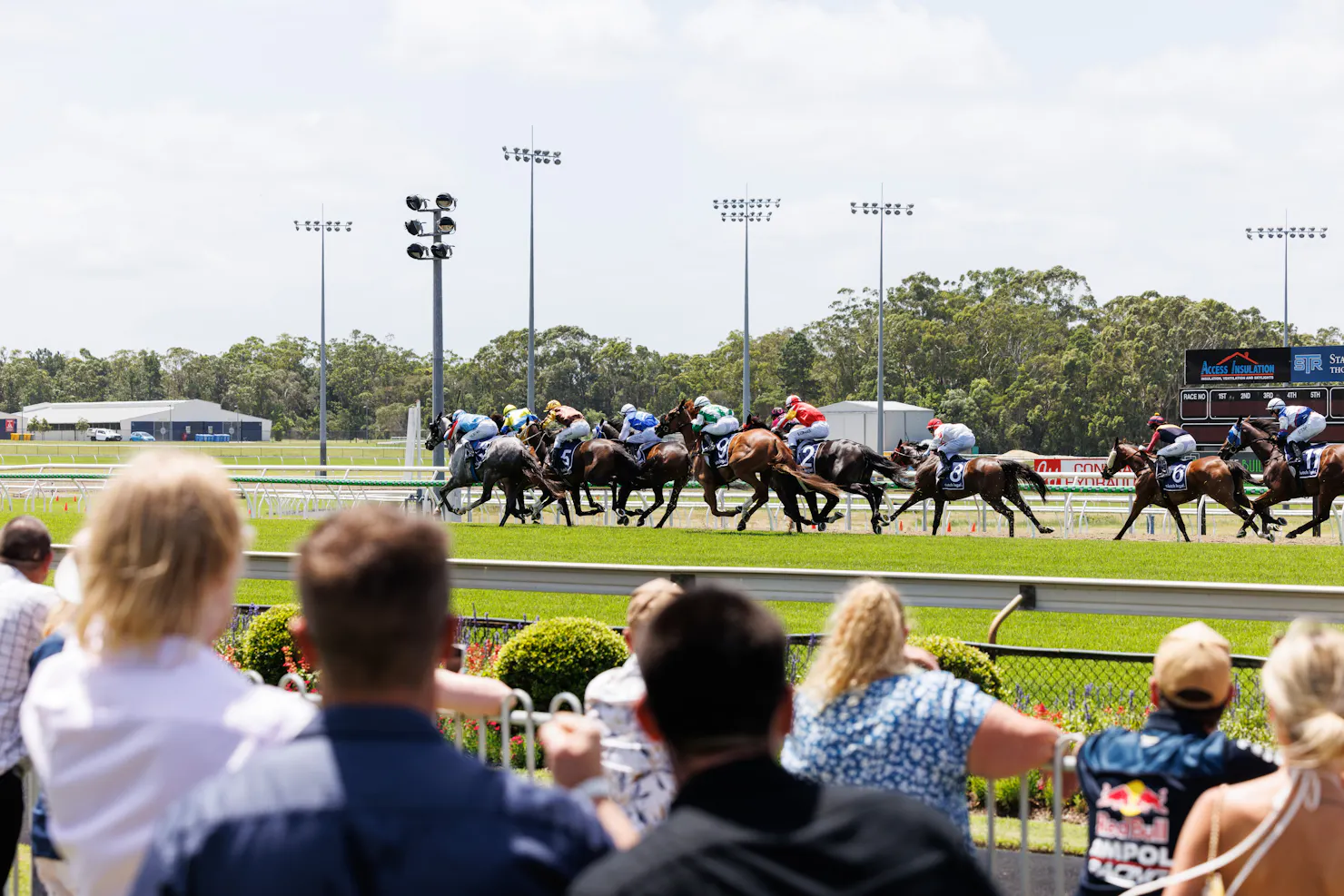 crowd watching horses race