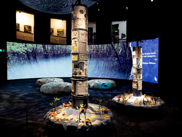 Mangroves - Tales of the Tide exhbition space at Questacon