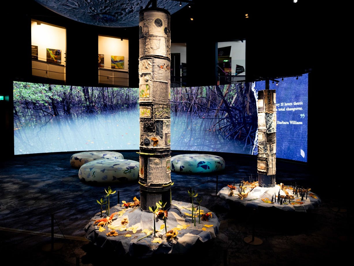 Mangroves - Tales of the Tide exhbition space at Questacon