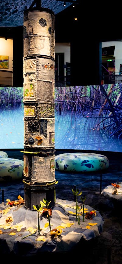 Mangroves - Tales of the Tide exhbition space at Questacon