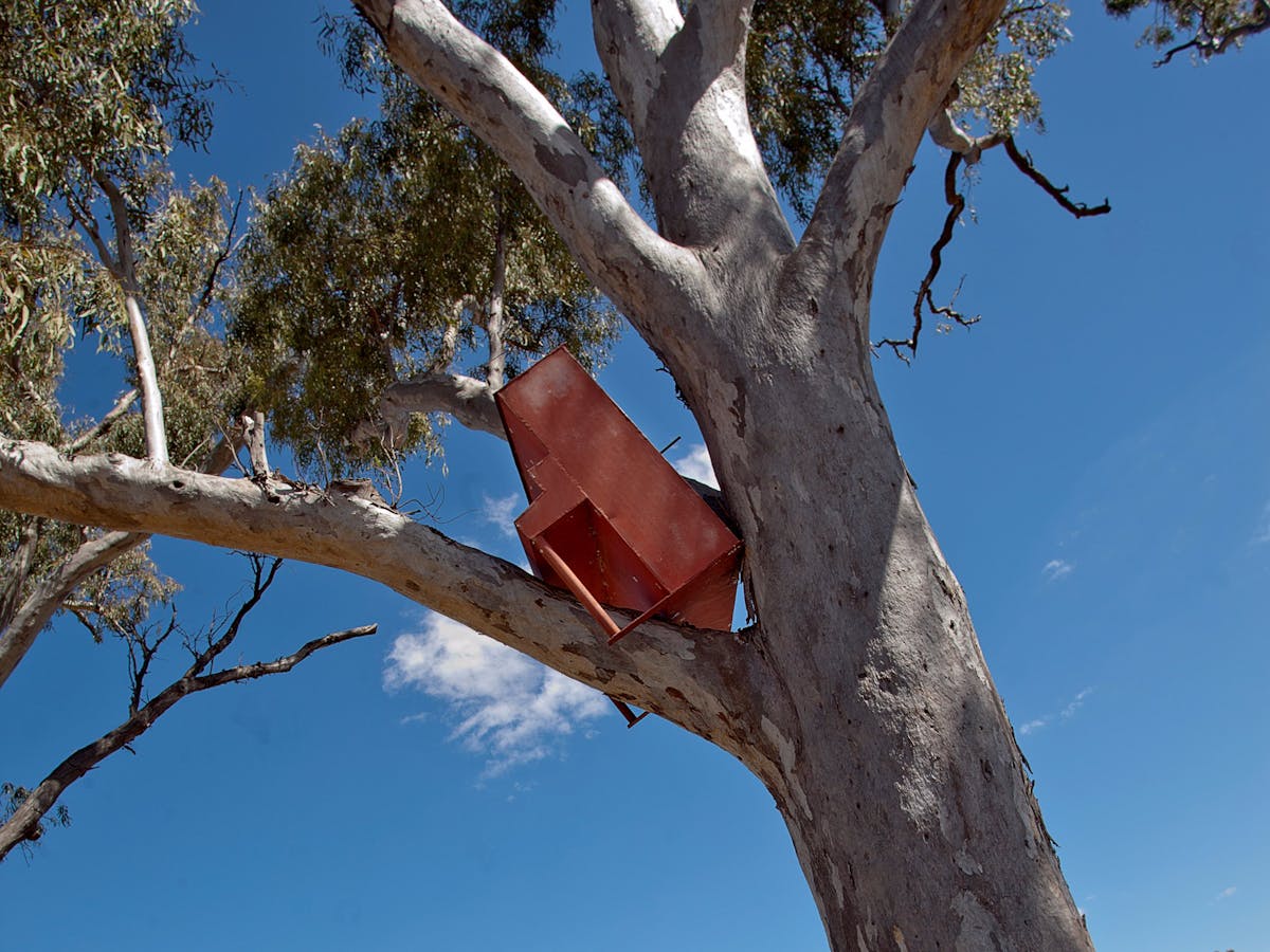 Clermont Piano in the tree Clermont Piano in the tree