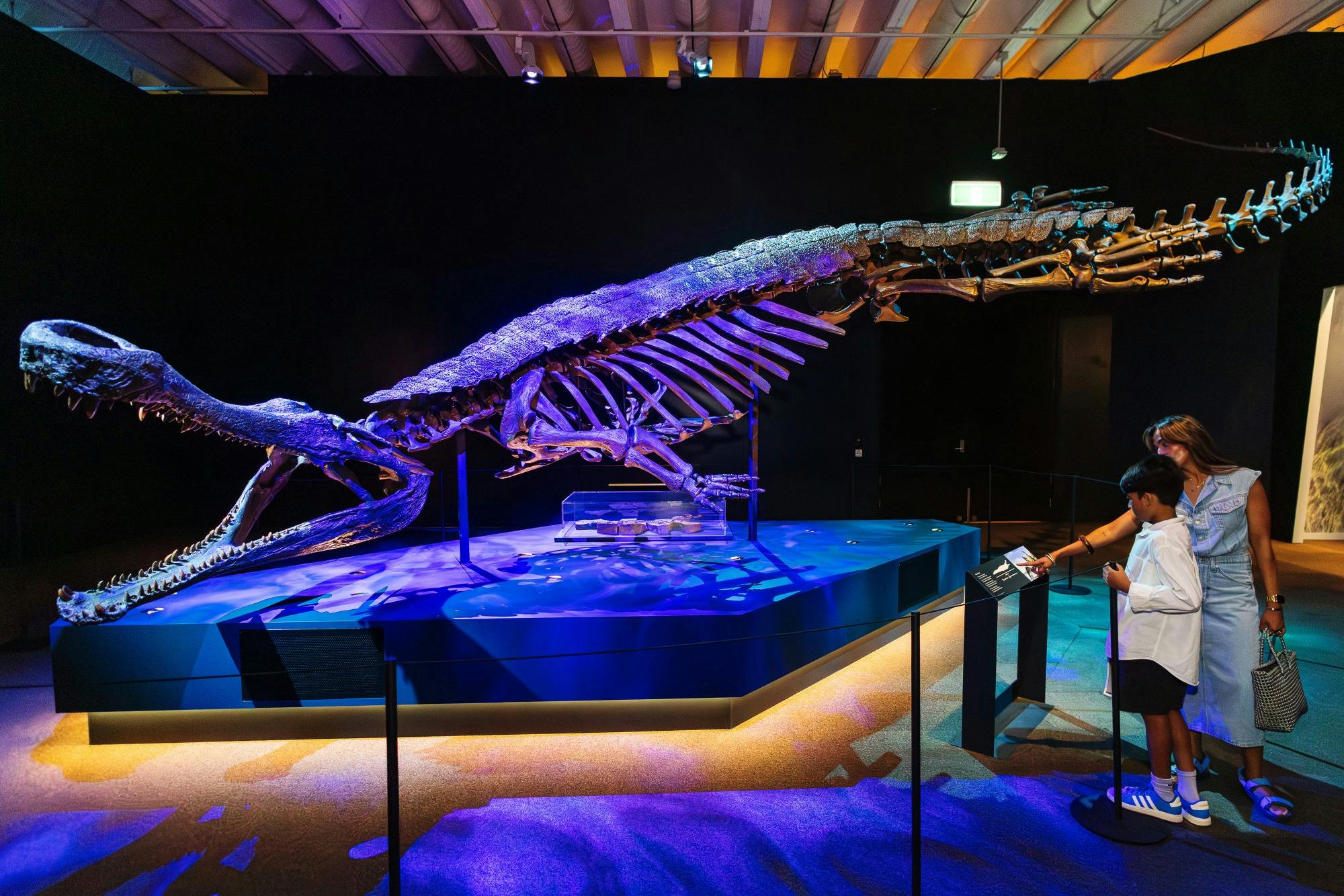 Croc! Lost Giants to Living Legends exhibition