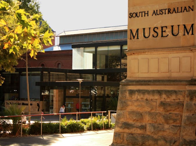 south australian museum tours